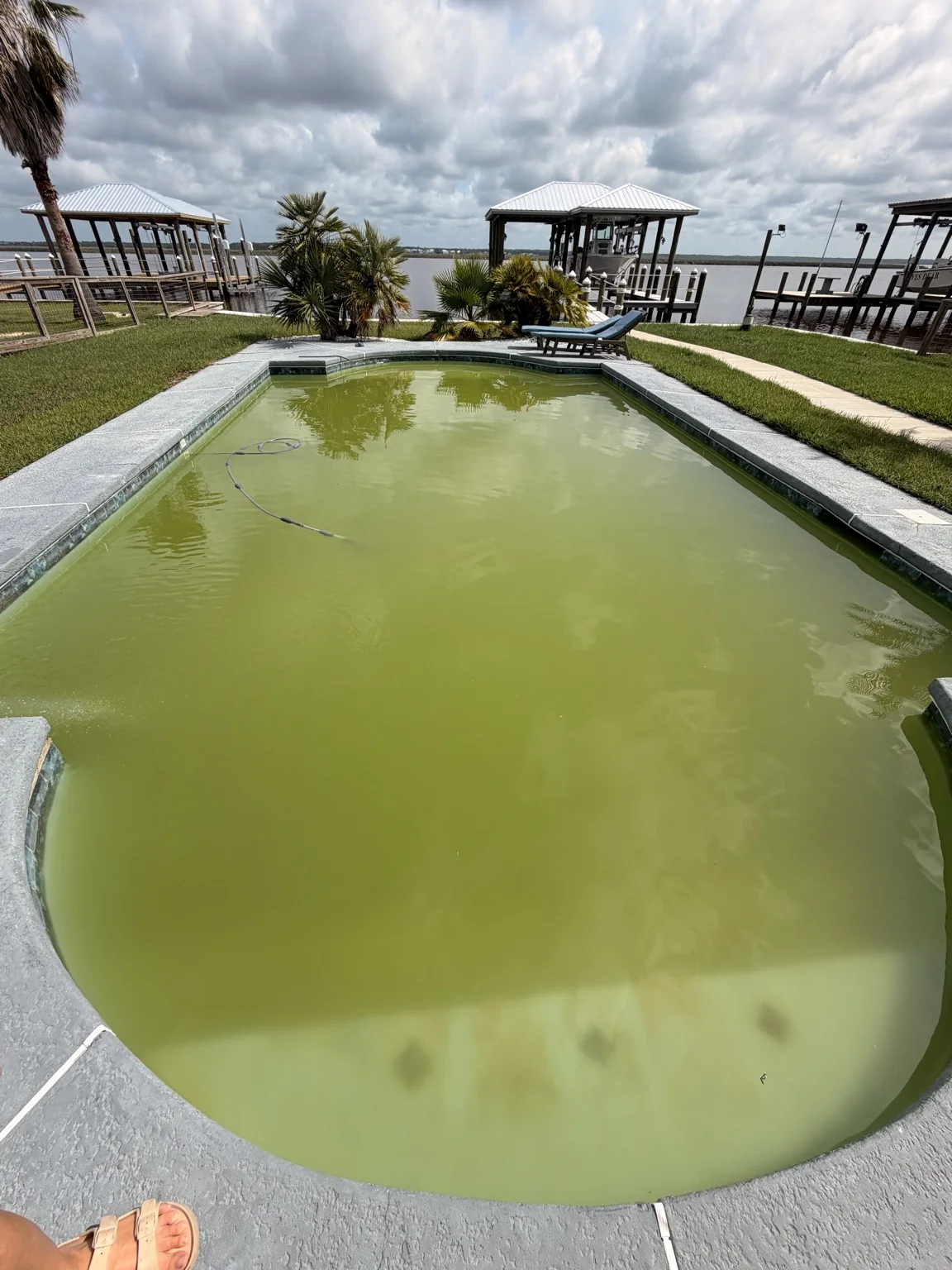 Waterfront pool before Green-to-Clean service