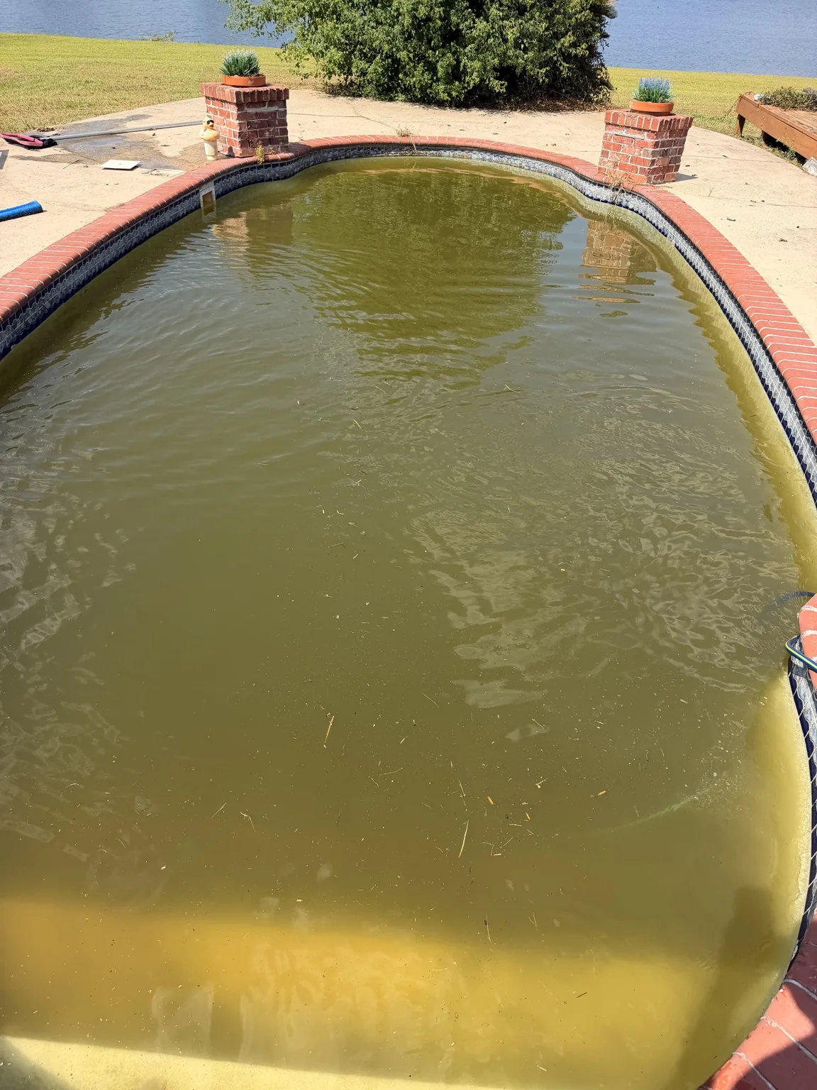 Pool restored to clear water after Green-to-Clean service