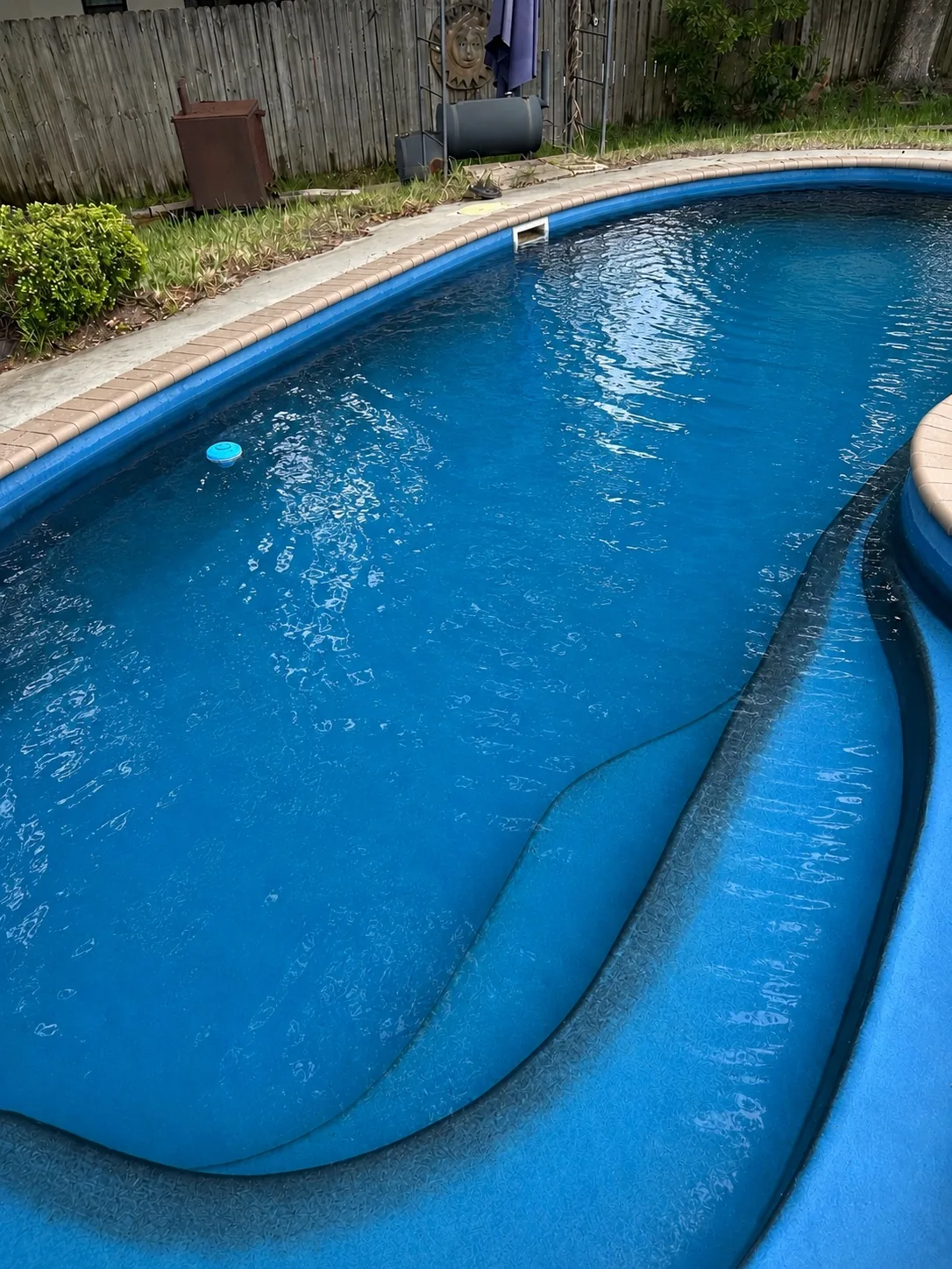 Freeform backyard pool after weekly cleaning